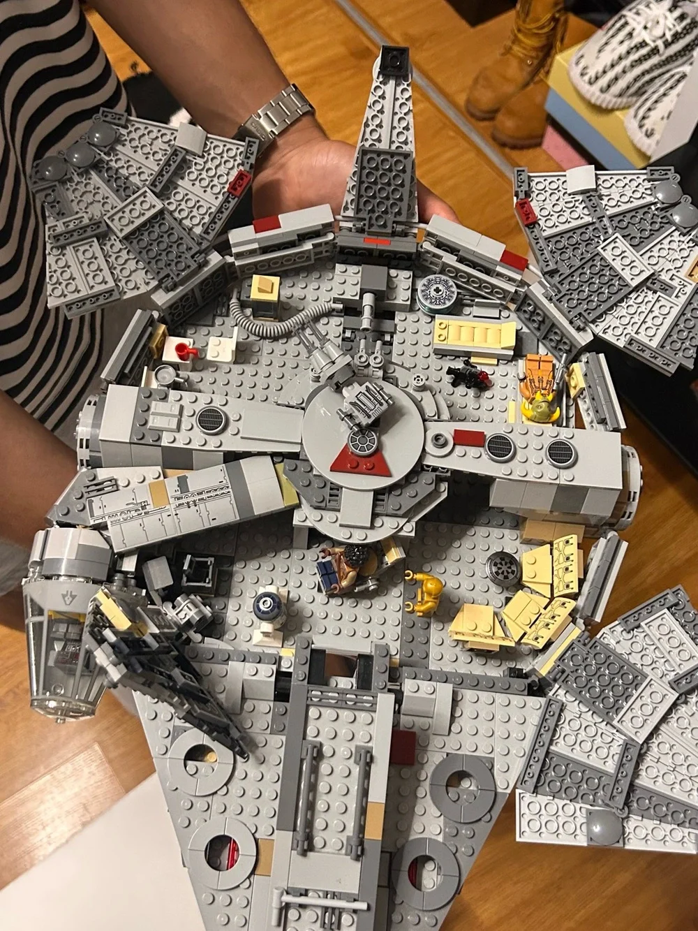 Gray millennial falcon - Picture 4 of 7
